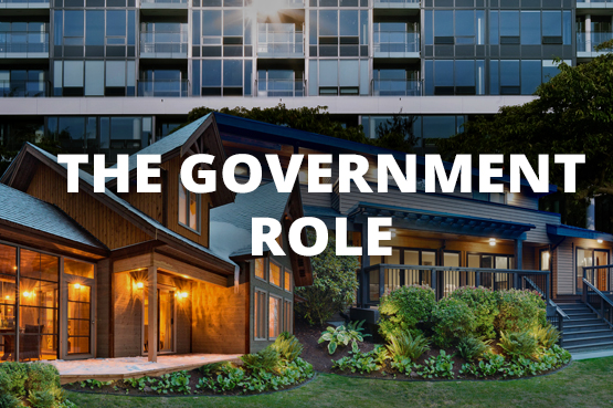 The government role